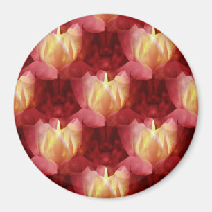 Friendship Rose... Magnet