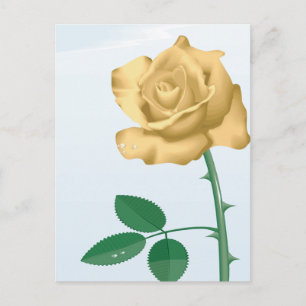 Friendship Rose Postcard