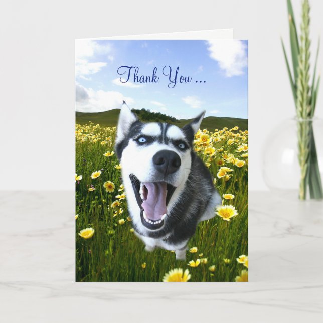 Friendship Thank You with Cute Husky Flowers Card (Front)