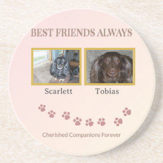 Friendship Trail Tribute Coaster