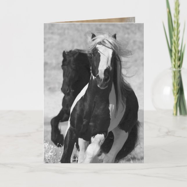 Friesian and Gypsy Run Horse Greeting Card (Front)