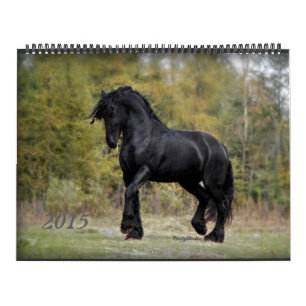 Friesian and Horse 2015 Calendar