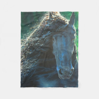 Friesian black beauty horse stallion fleece blanket
