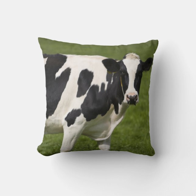 Friesian cow throw pillow (Front)