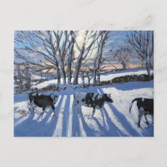 Friesian Cows 2009 Postcard (Front)