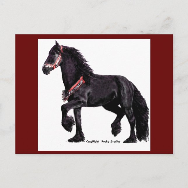 Friesian Dance Postcards (Front)