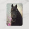 Friesian DIAMOND - Business Card