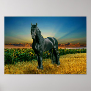 Friesian DIAMOND II - Poster