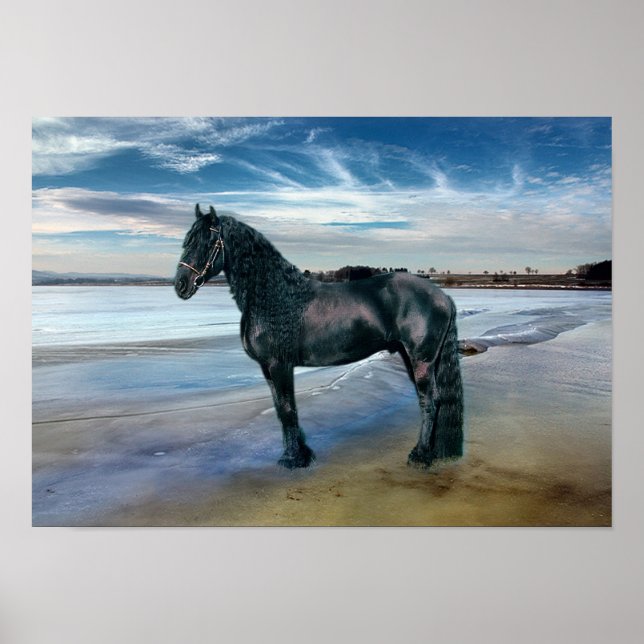 Friesian DIAMOND III - Poster (Front)