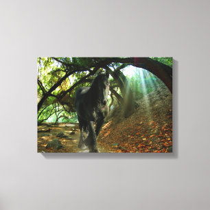 Friesian DIAMOND IV - Wrapped Canvas