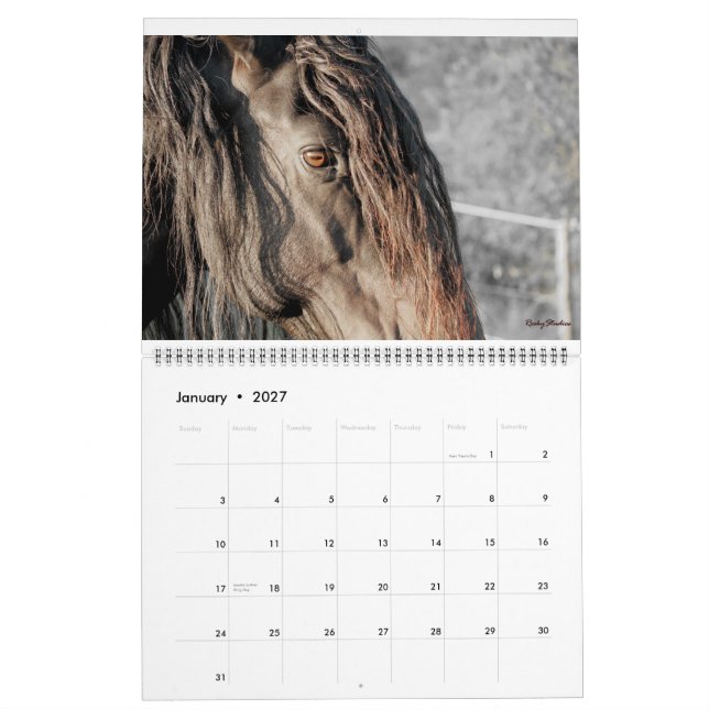 Friesian Feathers 2015 Calendar (Jan 2027)