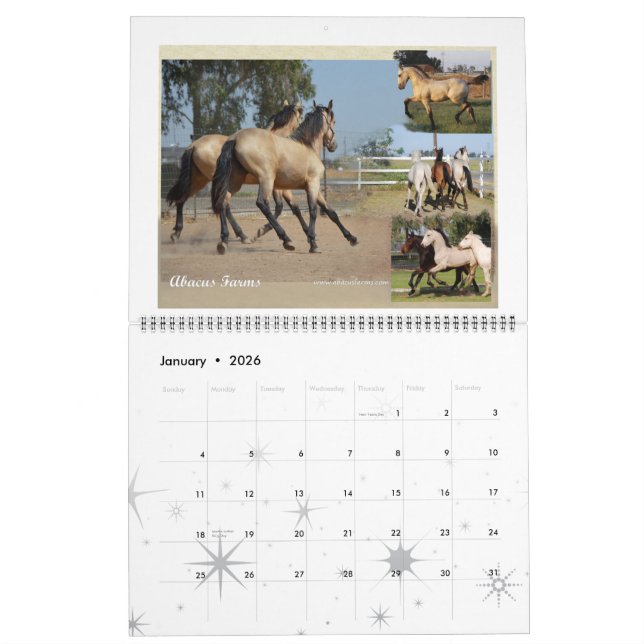 Friesian Heritage Huge Photo Calendar (Jan 2026)