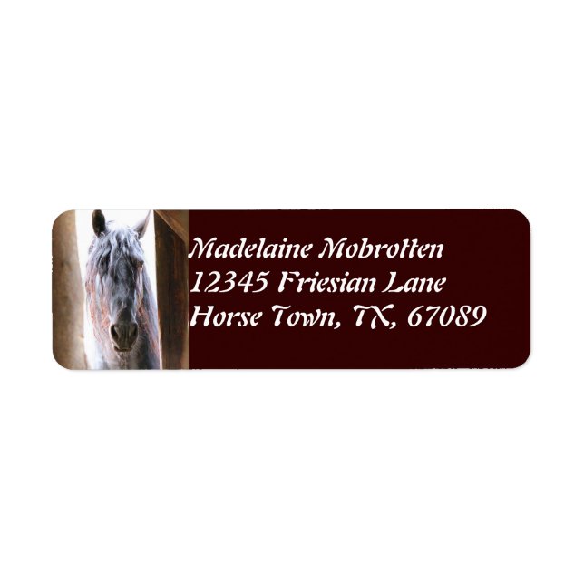 Friesian Horse (Front)