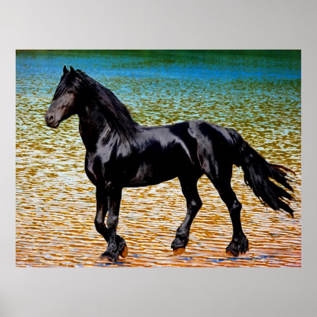 Friesian horse at the lake poster (Front)