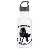 Friesian horse, black beauty stallion