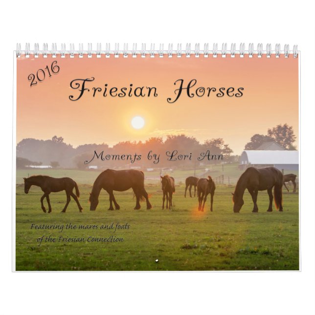 Friesian Horse Calendar (Cover)