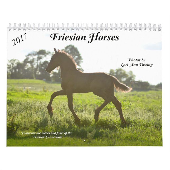 Friesian Horse Calendar (Cover)