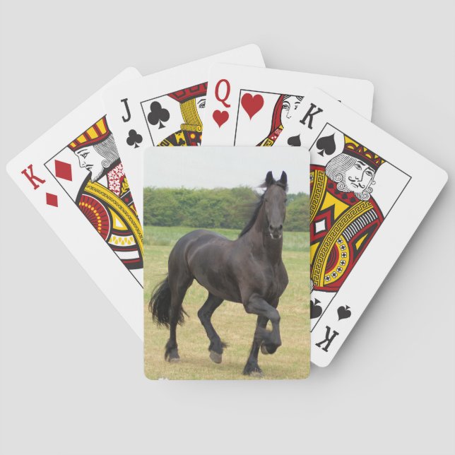 Friesian Horse Deck of Cards (Back)