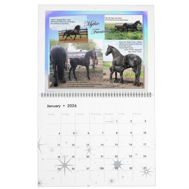 Friesian Horse Huge Photo Calendar (Jan 2026)