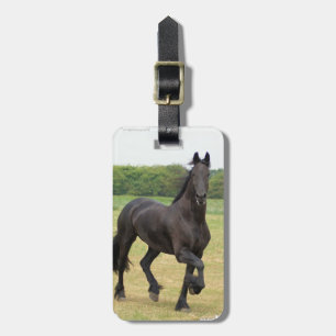 Friesian Horse Luggage Tag