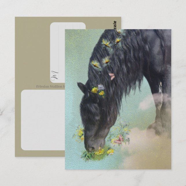 Friesian Horse - Postcard (Front/Back)