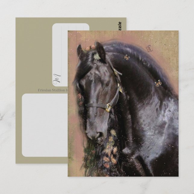 Friesian Horse - Postcard (Front/Back)