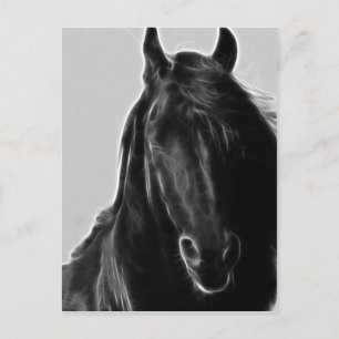 Friesian Horse profile Postcard