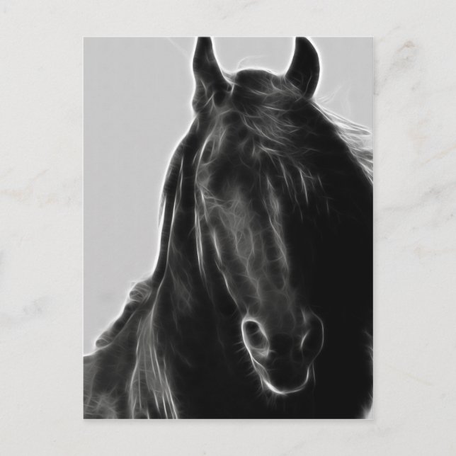Friesian Horse profile Postcard (Front)