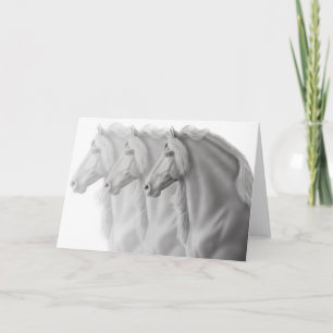 Friesian Horses Greeting Card