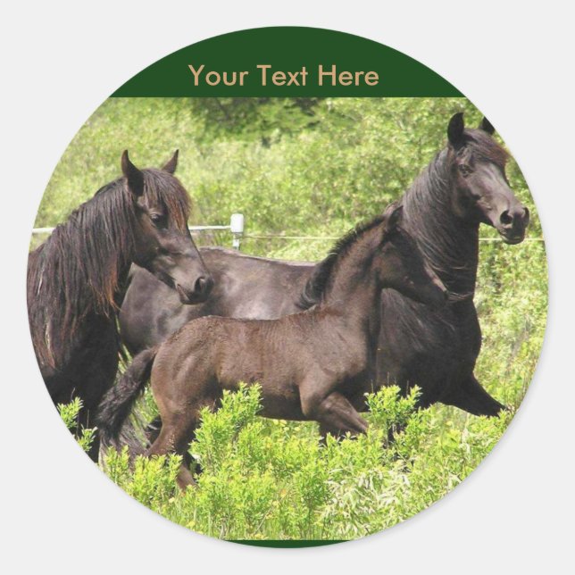 Friesian Mares Stickers #1 (Front)