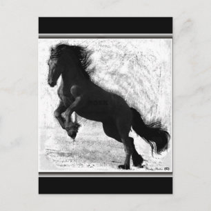 Friesian Power Postcard, customizable Postcard