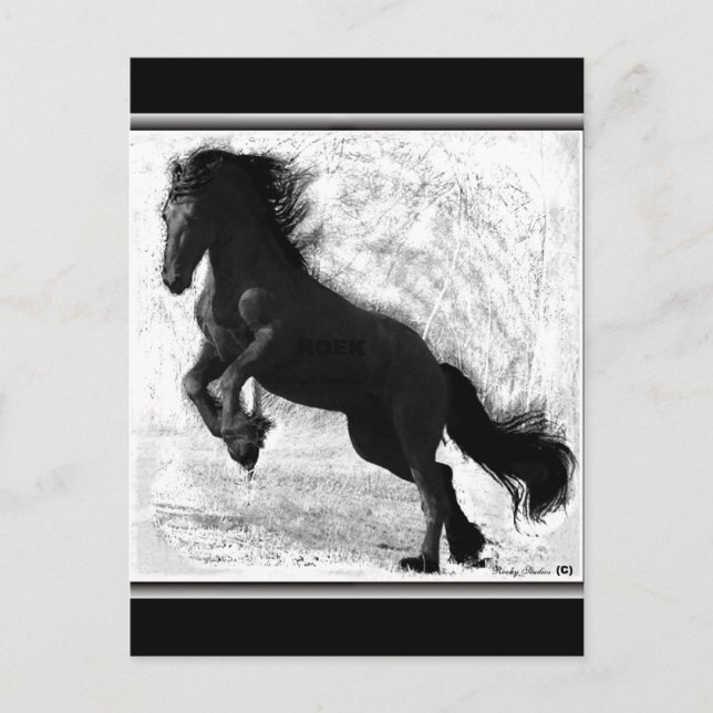 Friesian Power Postcard, customizable Postcard (Front)