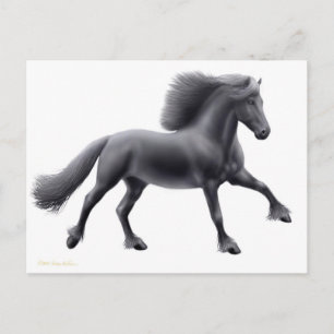 Friesian Running Free Postcard
