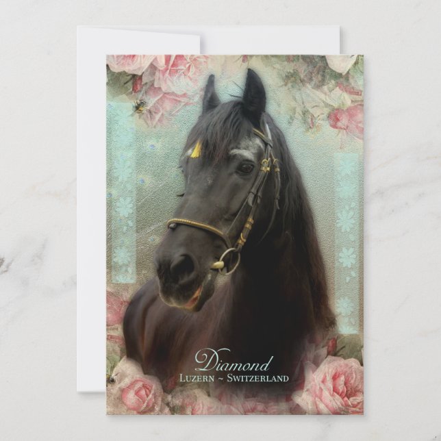 Friesian Stallion DIAMOND - Carte de voeux (Devant)