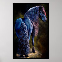 Friesian stallion horse, spotlight/painting/filter