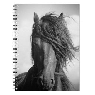 Friesian stallion in the wind. notebook