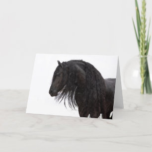 Friesian Stallions Holiday Card