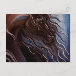 Friesian Storm Postcard