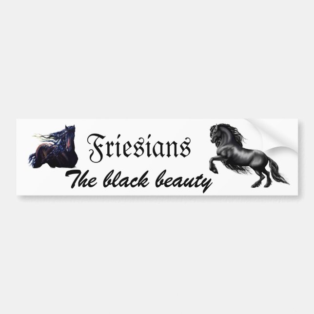 Friesians Bumper Sticker (Front)
