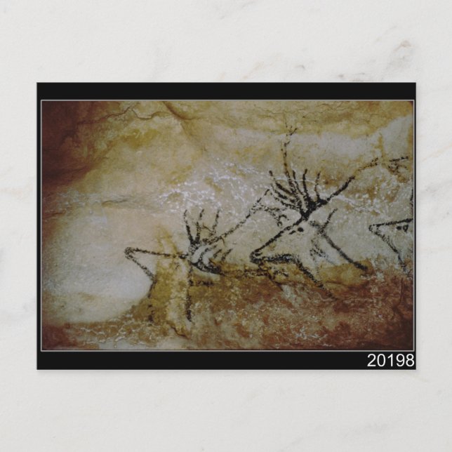 Frieze of deer, c.17000 BC Postcard (Front)