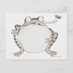 Frig Looking Up Postcard