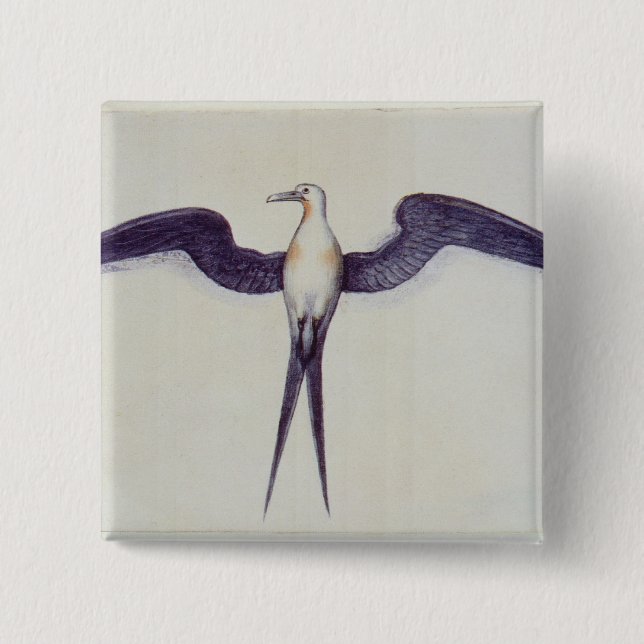 Frigate Bird 2 Inch Square Button (Front)