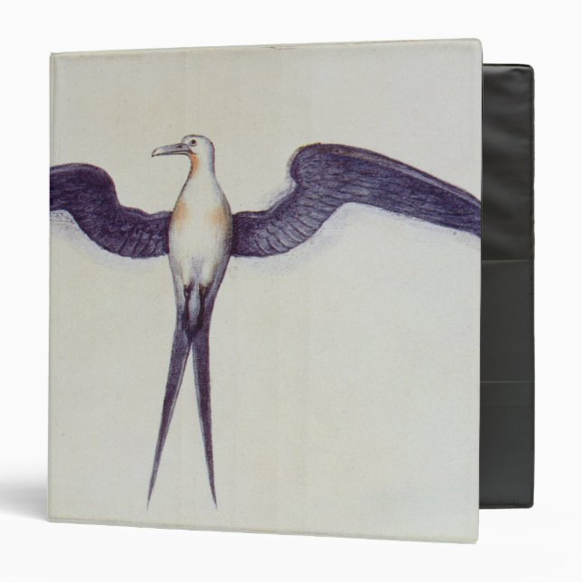 Frigate Bird Binder (Front/Inside)