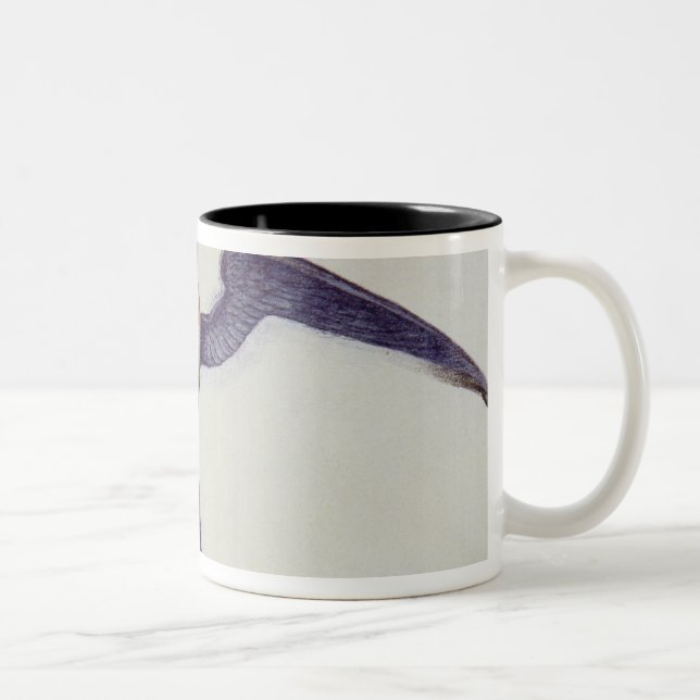 Frigate Bird Two-Tone Coffee Mug (Right)