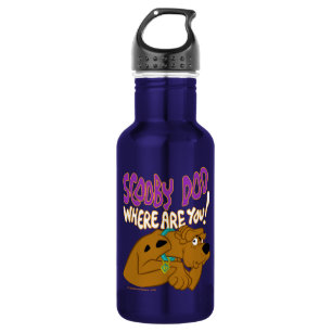 Frightened Scooby-Doo 532 Ml Water Bottle