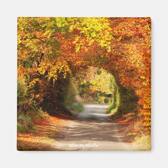 Frigo Magnet Jaune Boug Kilcullen (Devant)