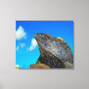 Frill necked Lizard  Canvas Print