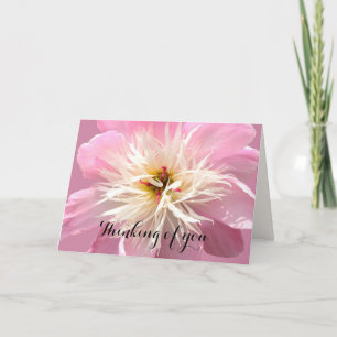 Frilly Pink Peony Custom Message Card