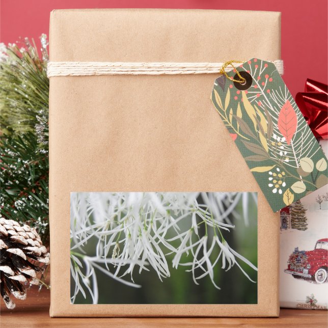 Fringe tree (Chionanthus virginicus) Sticker (Holiday)