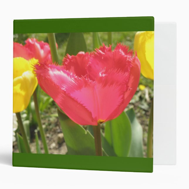 Fringed Tulips Avery Binder (Front/Inside)